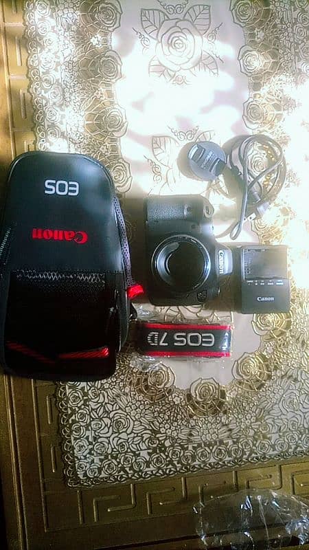 Canon 6d with 50mm yongnuo lens 8