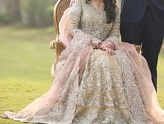 walimah branded bridal dress (mushq)