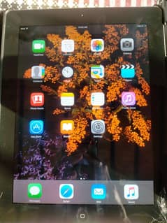 ipad mini