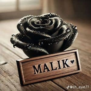 Malik