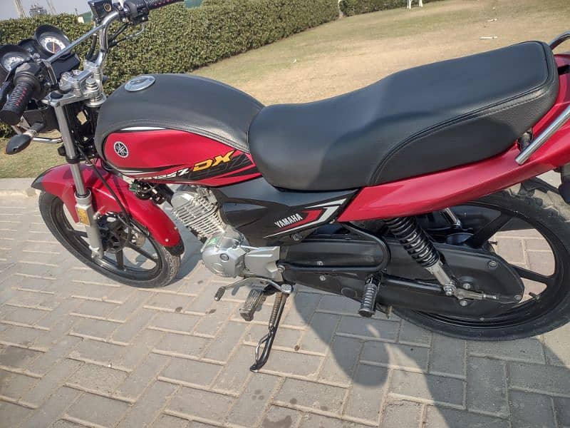 Yamaha YB 125Z-DX | Model 2024  | Total Geniune 0