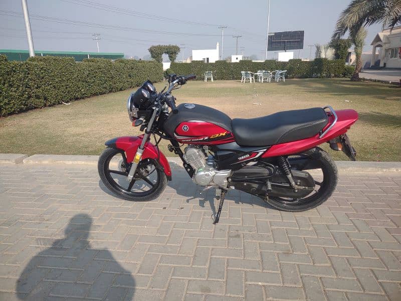 Yamaha YB 125Z-DX | Model 2024  | Total Geniune 9