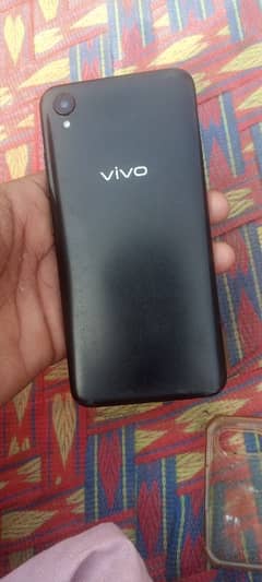 vivo