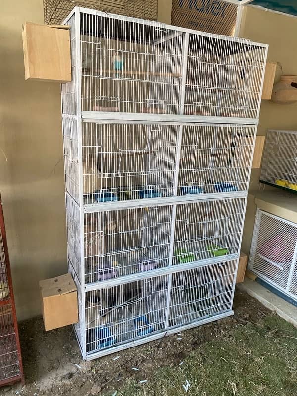 bird parrot angle cage love birds 8 portion 2