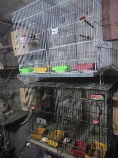 brids cage