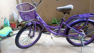 Two Stylish and Durable Baby Girls' Bicycles