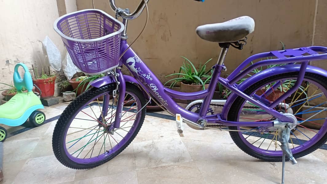 Two Stylish and Durable Baby Girls' Bicycles 0