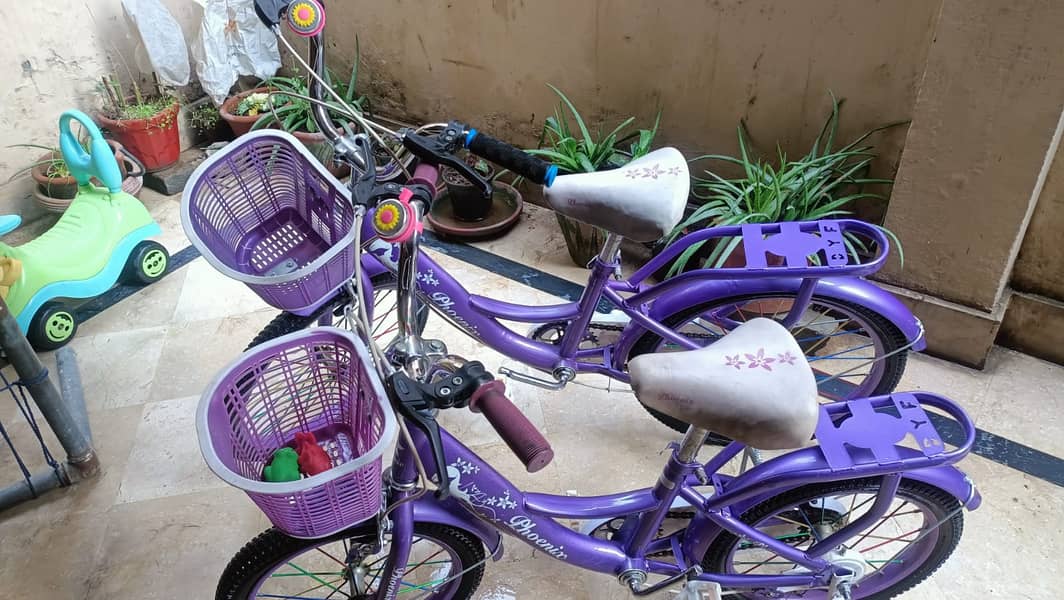 Two Stylish and Durable Baby Girls' Bicycles 5