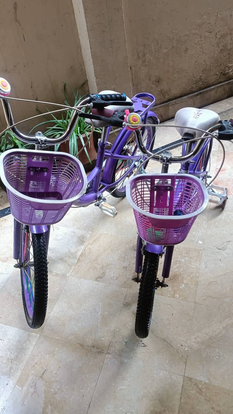 Two Stylish and Durable Baby Girls' Bicycles 6