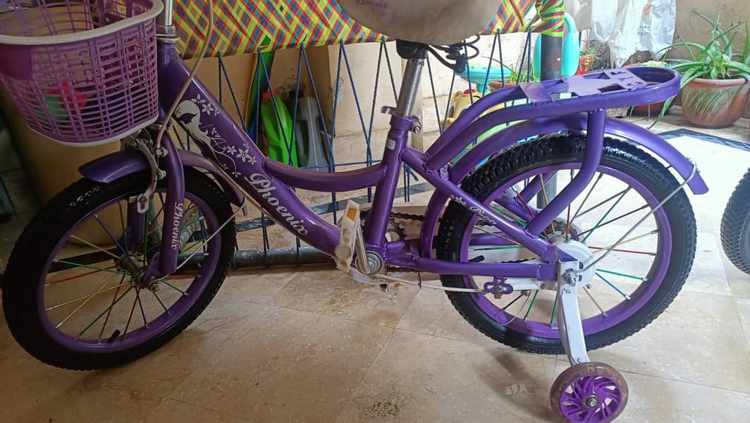 Two Stylish and Durable Baby Girls' Bicycles 7