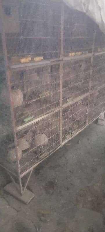 Cages pinjra for sell 2