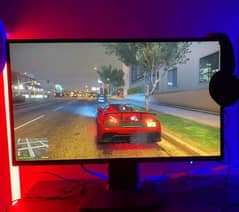 24 inch HP N246v Monitor LCD 60Hz