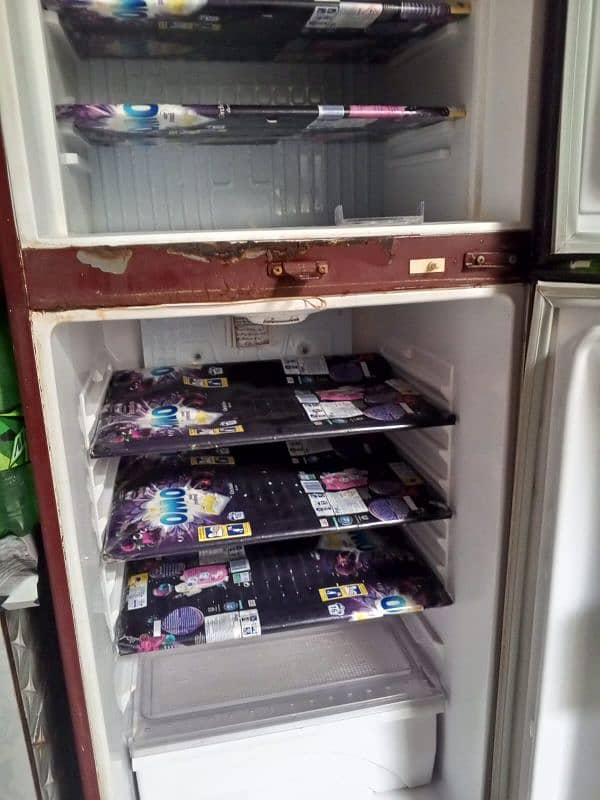 refrigerator 1