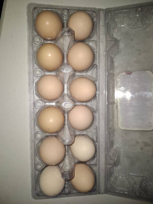 Desi Eggs 0