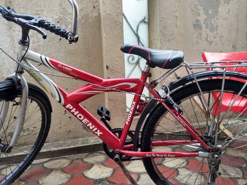 Phoenix Cycle Very Good Condition 2