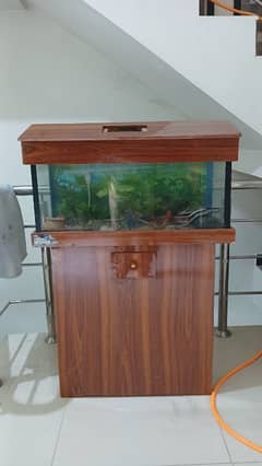 aquarium for sale