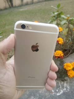 Iphone 6 10/10 Condition 64gb