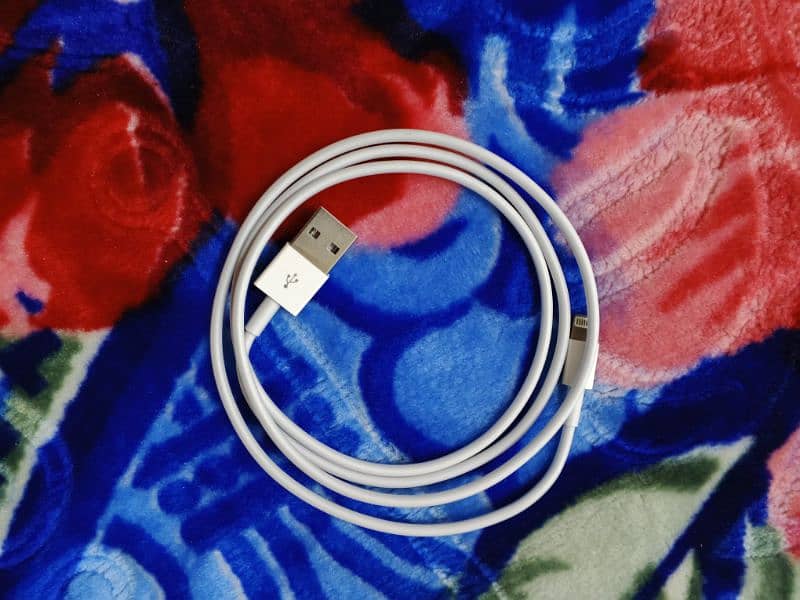 iphone cable type A-Lightning 1