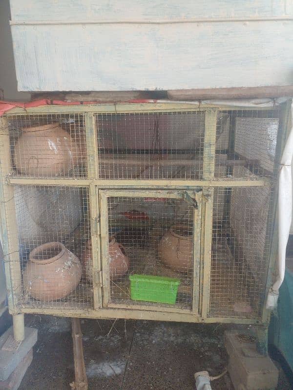 birds cage 1