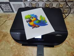 Hp wifi Printer copy scan