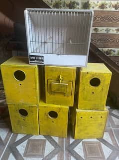 Lovebirds Breeding Box & Showcage