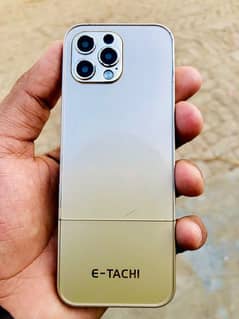 E-tachi good condition with box charger