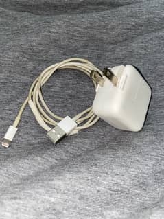 iphone 10w original usb charger with cable