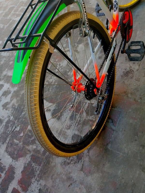 phonix cycle 26 inch all new 4