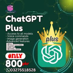 Chatgpt Plus