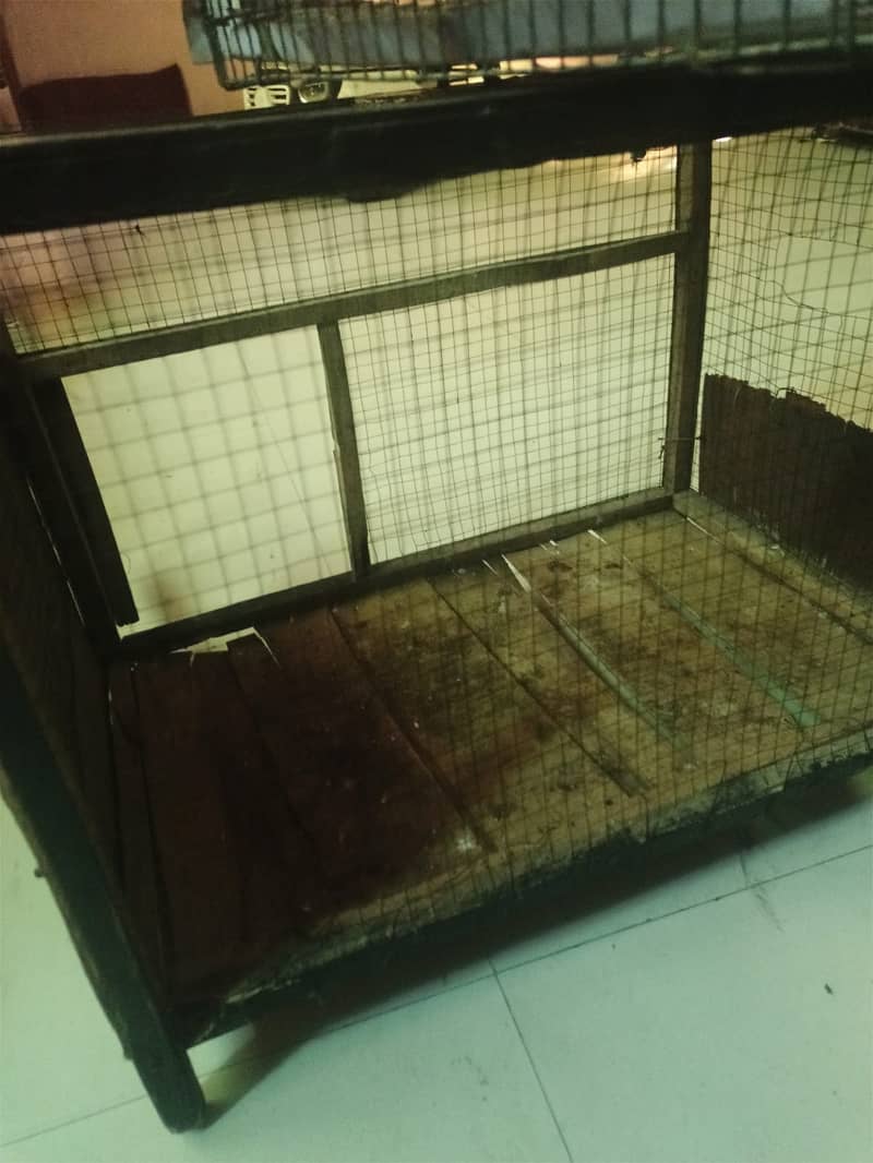 2 cage for sale 4