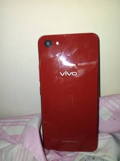 vivo