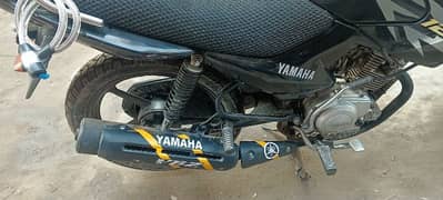 Yamaha