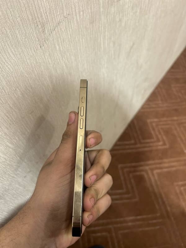 IPHONE 13 PRO MAX 256 Gb PTA 1