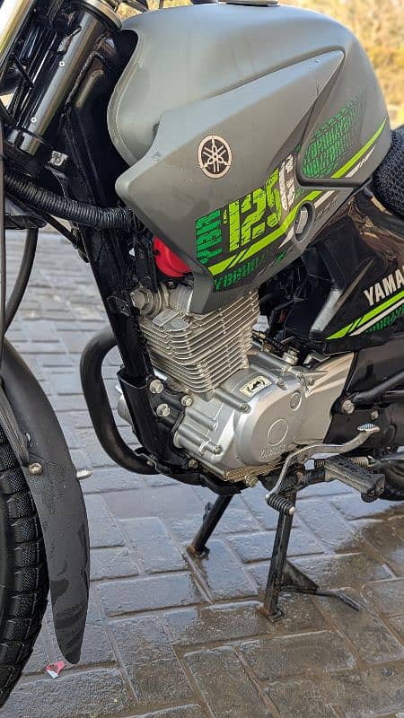 Yamaha ybr g 9