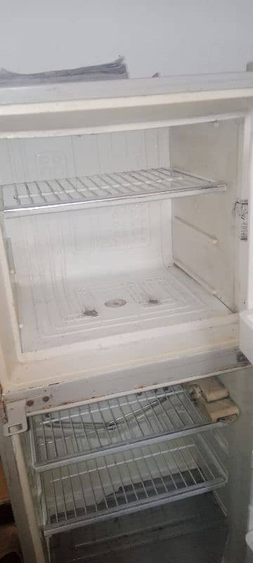 fridge 1