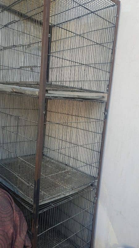 jawa, cage and other birds for sale 9