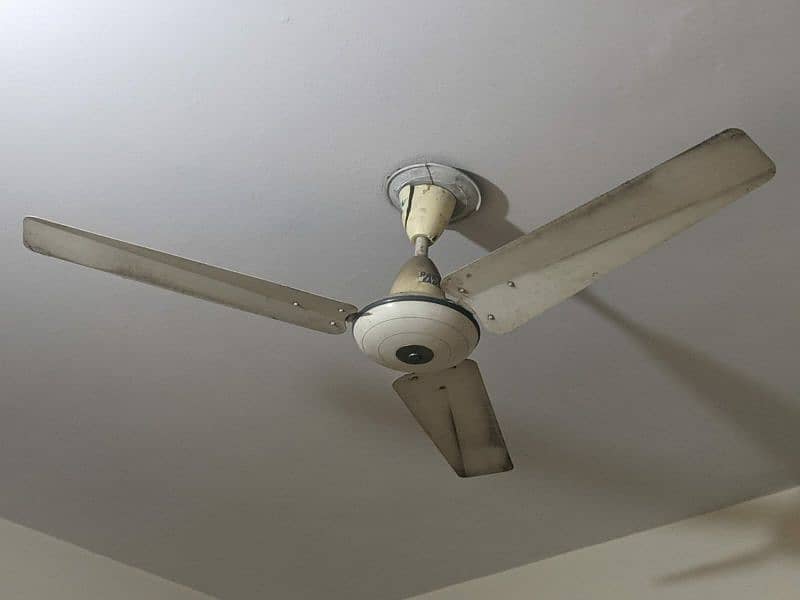 Ceiling Fans 0