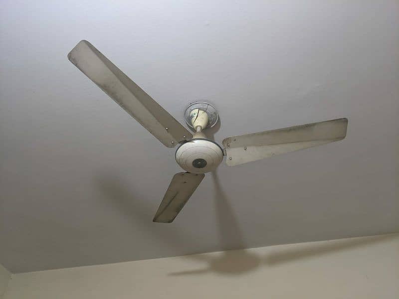 Ceiling Fans 1