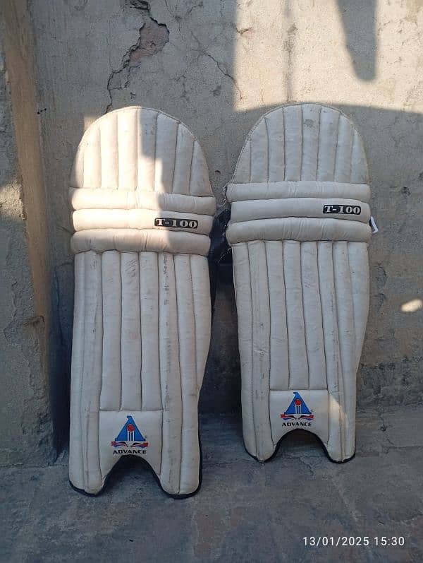 Cricket Kit in Normal condition 7