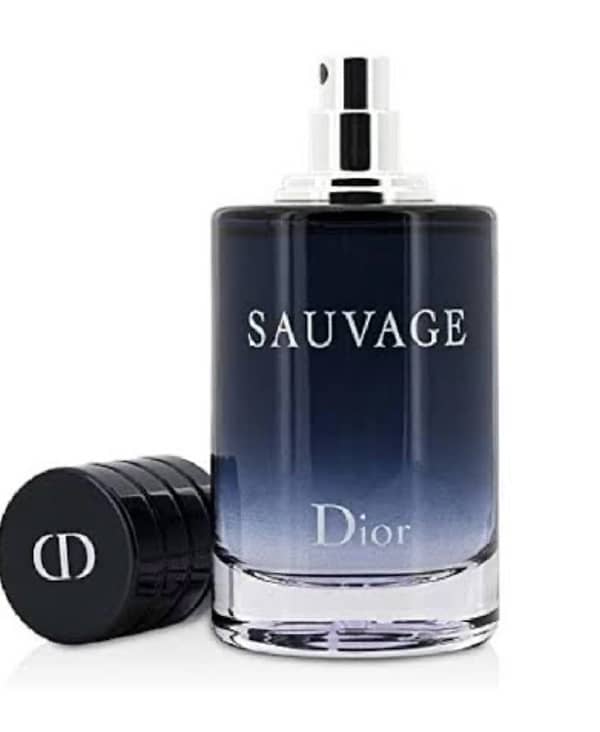 SAUVAGE DIOR,, CHANEL BLEU 0