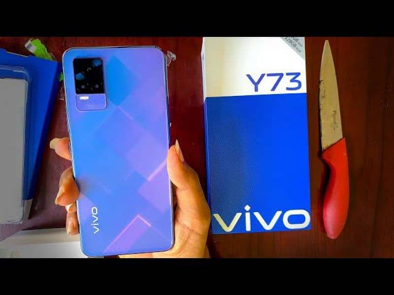 vivo y73 8gb ram 128 gb rom 1