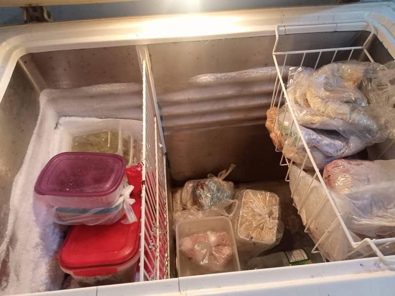 Waves Freezer in good condition 6