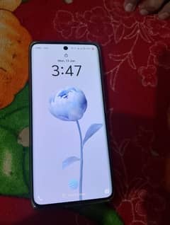 vivo v40e 8+8/256.