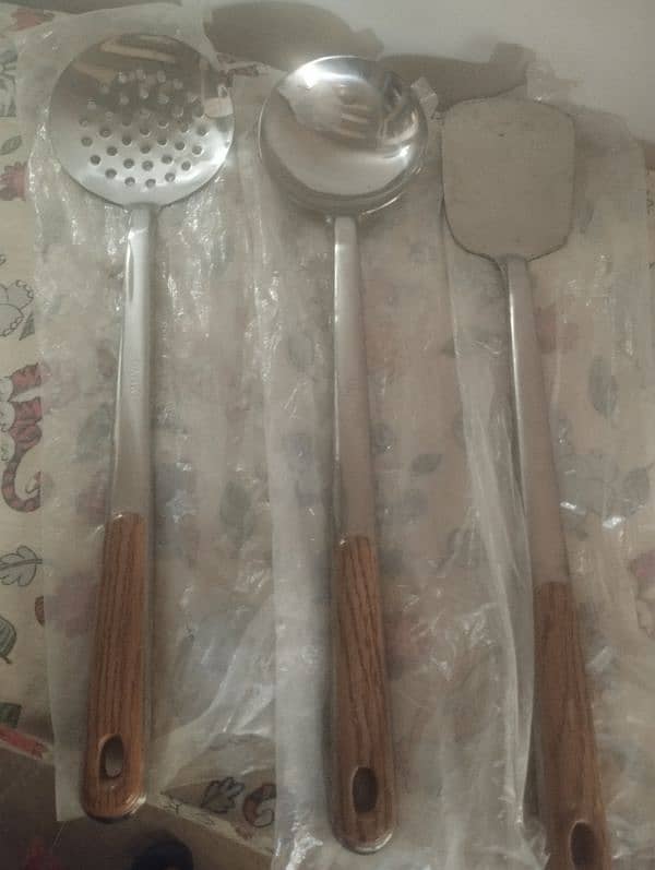 Salan Long Spoon 1