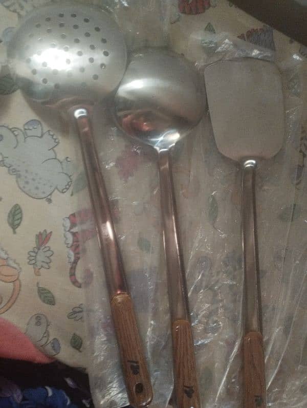 Salan Long Spoon 2