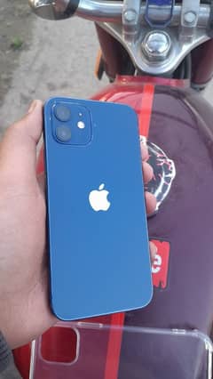 APPLE IPHONE 12