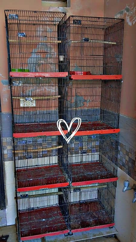 folding cage 2,×2 parrot 0