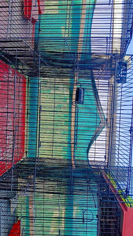 folding cage 2,×2 parrot 2