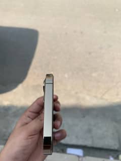 iphone 12 pro max 128gb dual pta aproved