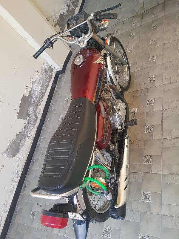 Honda 125 2019 Model Lush Condition for Sale 5